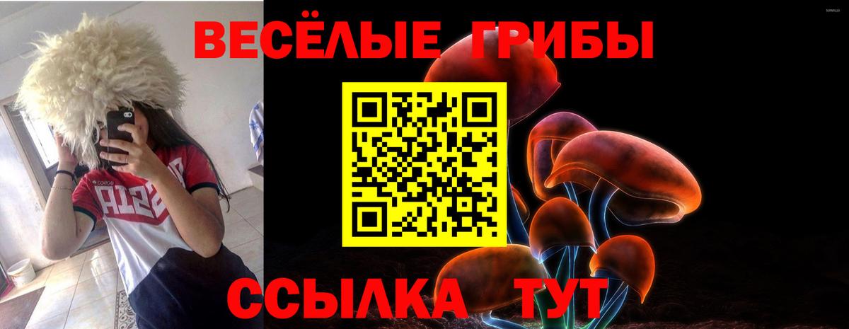 Галлюциногенные грибы GOLDEN TEACHER  Вход с VPN  Спасск-Дальний  Псилоцибиновые грибы Psilocybine cubensis 