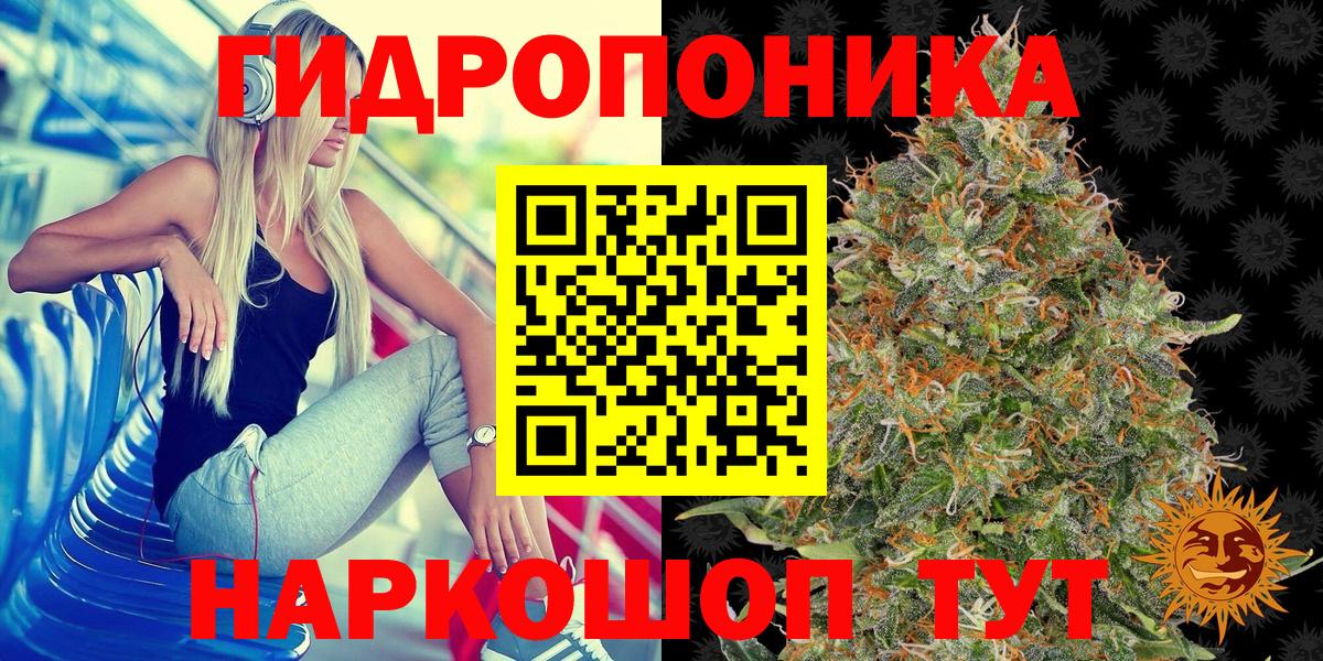 Конопля гибрид Спасск-Дальний